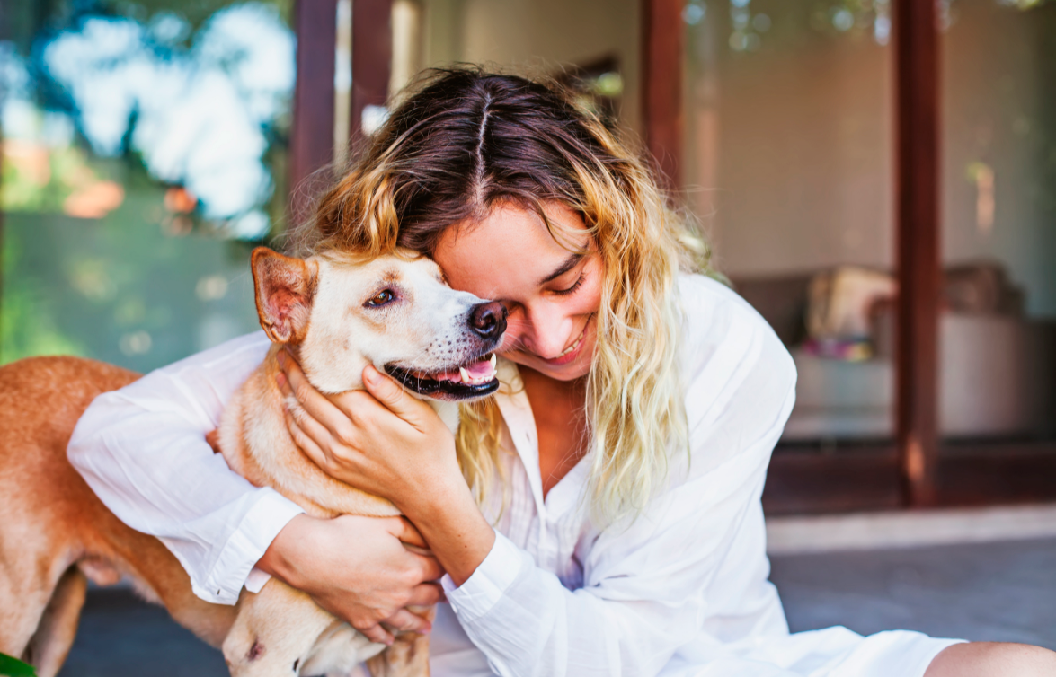 ¿Cómo mantener tu auto limpio y sin olor cuando transportás a tu mascota_
