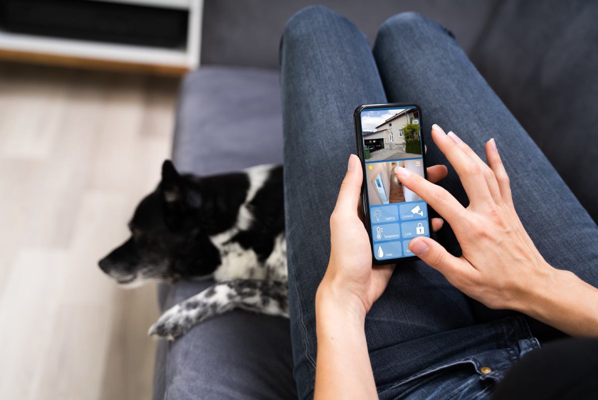 Tips elegir una cámara para vigilar a tu mascota cuando queda sola