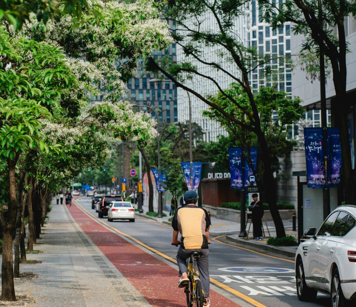 Cómo conducir entre ciclistas: consejos útiles para conductores 