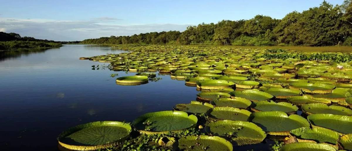Mini vacaciones en los Esteros del Iberá