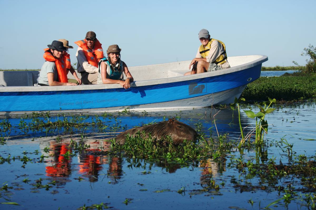 Mini vacaciones en los Esteros del Iberá