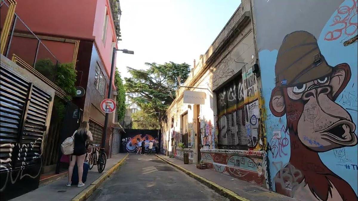 Circuito de Murales y Street Art en Buenos Aires: recorrido en auto por los mejores barrios 