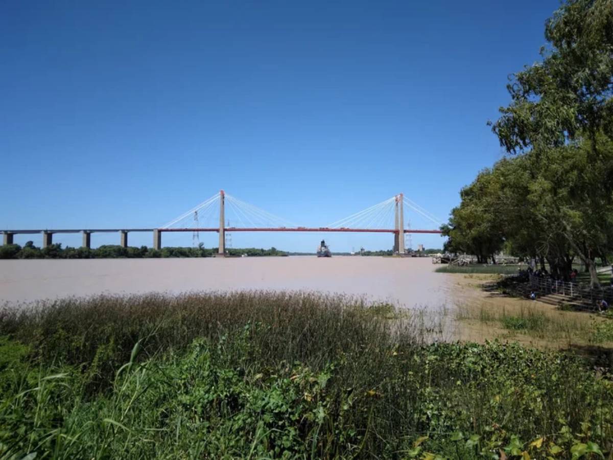 Escapada a Isla Talavera: naturaleza y pesca a un paso del Puente Zárate-Brazo Largo